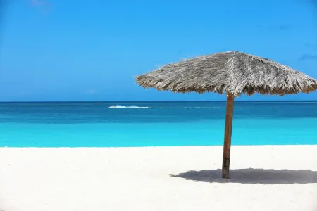 EAGLE BEACH - CAPTIVATING  DIRECT OCEAN VIEW CONDO