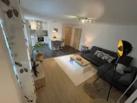 New comfort apartment. Basement, good for excursions, Europapark, Strasbourg