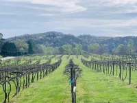 Zen Mountain Escape: Rivers, Nature, Wineries & Solitude