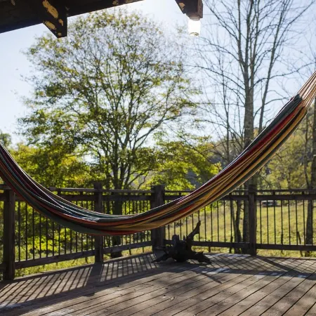 Charming Creekside 1940s Cottage, Kid/Dog Friendly