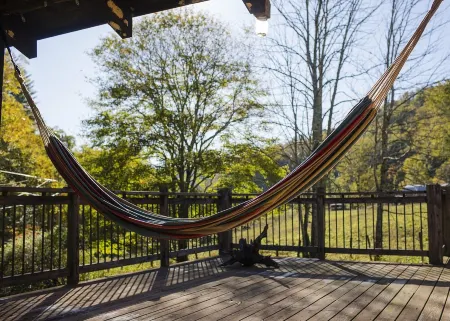 Charming Creekside 1940s Cottage, Kid/Dog Friendly