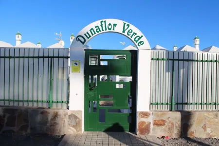 Dune green flower Maspalomas