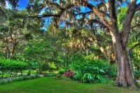 NEW Sunshine Gorgeous- 3BD/2BA -Private Backyard!