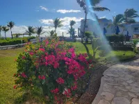 Beautiful Ocean View 3 Bedroom Condo on the Beach Hotels in Wheeland Settlement