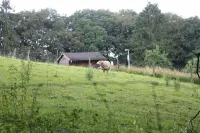 Relaxation near Cologne in the middle of nature