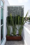 2 Bed in the heart of Cholula with views to the Pyramid and the