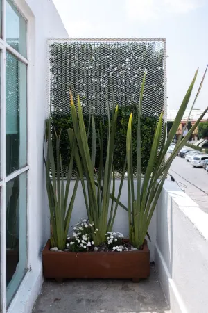 2 Bed in the heart of Cholula with views to the Pyramid and the Отели рядом с достопримечательностью «Зона археологических раскопок Чолула»