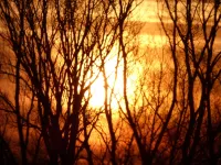 Apartment on the North Sea (269) Hotel di Voslapp