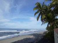 Beach from house, 3 rooms with air conditioners, 43 coconut trees, 7 hammocks