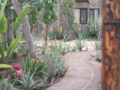 La Bohemia Hotel Pequeno Hoteles en Todos Santos