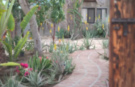 La Bohemia Hotel Pequeno