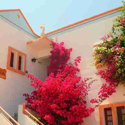 Villa Elizea Hotel Exterior