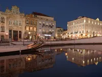 Hotel Aveiro Palace Hotele w: Aveiro