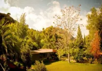 Mont-Sant Hotels near Plaza Jaume I