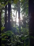 Inti Amazon Lodge - Lupuna Zona 2 - Ramah Hewan Peliharaan
