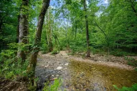 Bearly Creekin' Stay for 14! Hotels in McCurtain County