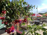 Bavarian Inn Hotels in Bruce Mines