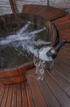 伊卡巴納旅館 - SPA