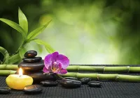 HOTEL TEN SQUARE - 5 Minutes from The Taj Mahal - spa