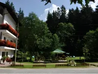 Pensiunea Anotimpuri Hotels in Predeal