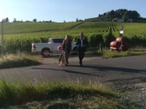 AZIENDA AGRICOLO IL POGGIOLINO Hotels in Pelago