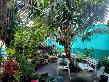 Pete's Inn Отели в г. Роксас Сити