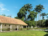 Hotel Las Palmeras Hotele w: Villeta