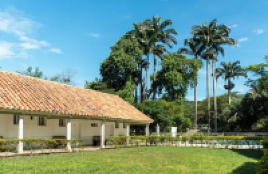 Hotel Las Palmeras
