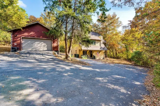 Cozy studio located STEPS from the UofA campus and nestled in secluded woods!