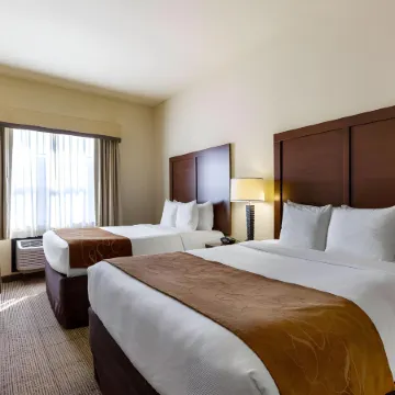 Comfort Suites Near NASA - Clear Lake