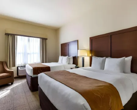 Comfort Suites Near NASA - Clear Lake Hoteles en Webster