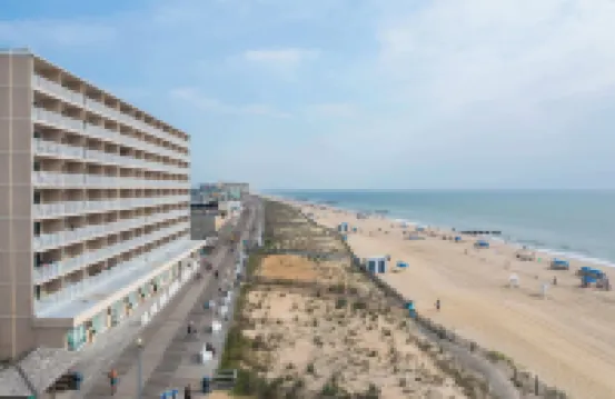 海濱星在木板路上！