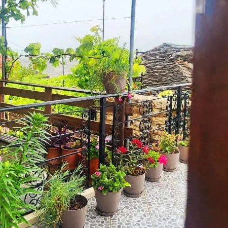 Silver Hill Guesthouse
