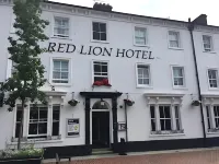 Red Lion Hotel Hotels in Old Basing and Lychpit