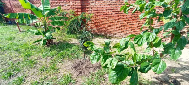 Self-contained bed sitter overlooking a beautiful scenery in an animal farm. Hotels in 