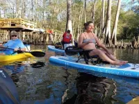 Adorable cozy cabin near North Florida Springs - Homestays