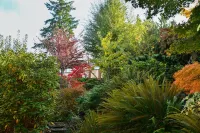 Modern home in wooded area with views of Lake Washington