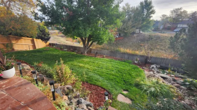 Cozy walkout basement in fantastic Centennial area with WiFi, AC