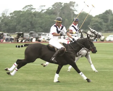 Hamptons House - 4 Bedroom House + 4 Bedroom Cottage with pool Отели рядом с достопримечательностью «Sag Harbor Historical Museum: The Annie Cooper Boyd House»