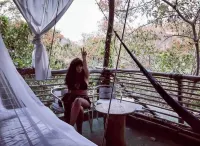 Tree house Pergola Swimming pool at a virgin beach
