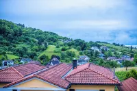 Black Forest dream for connoisseurs 01 Hotels in Buhlertal