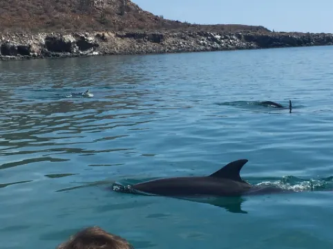 New Studio Maguey- Cozy studio in enjoyable Loreto with AC, WiFi in downtown