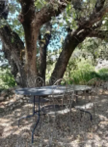 Bastidon between hill and vineyard