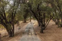 Modern Cabin with Private Jacuzzi - Casa de Manzanita Hotels in Ahwahnee