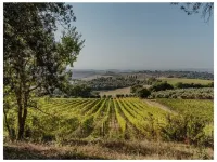 Villa Colombini Comfortable holiday residence