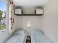 Prima Plus