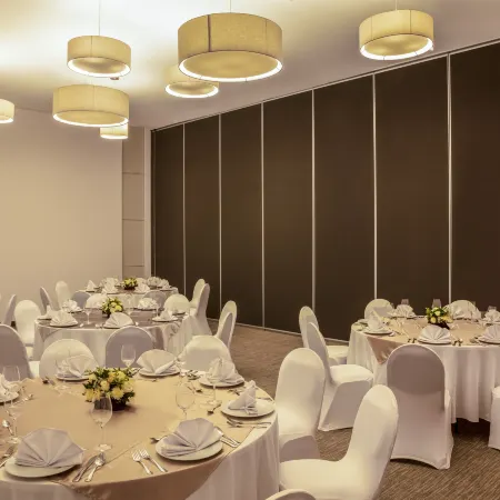 Fiesta Inn Parque Puebla