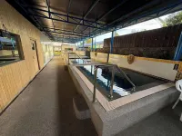 Paradise Resorts & Sauna - balneario