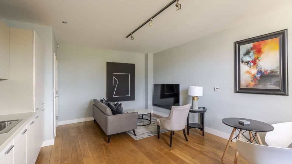 Luxurious Private One Bedroom Apartment