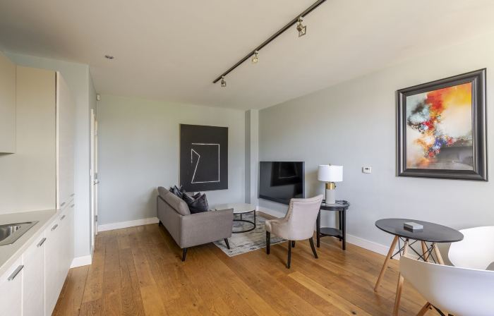 Luxurious Private One Bedroom Apartment